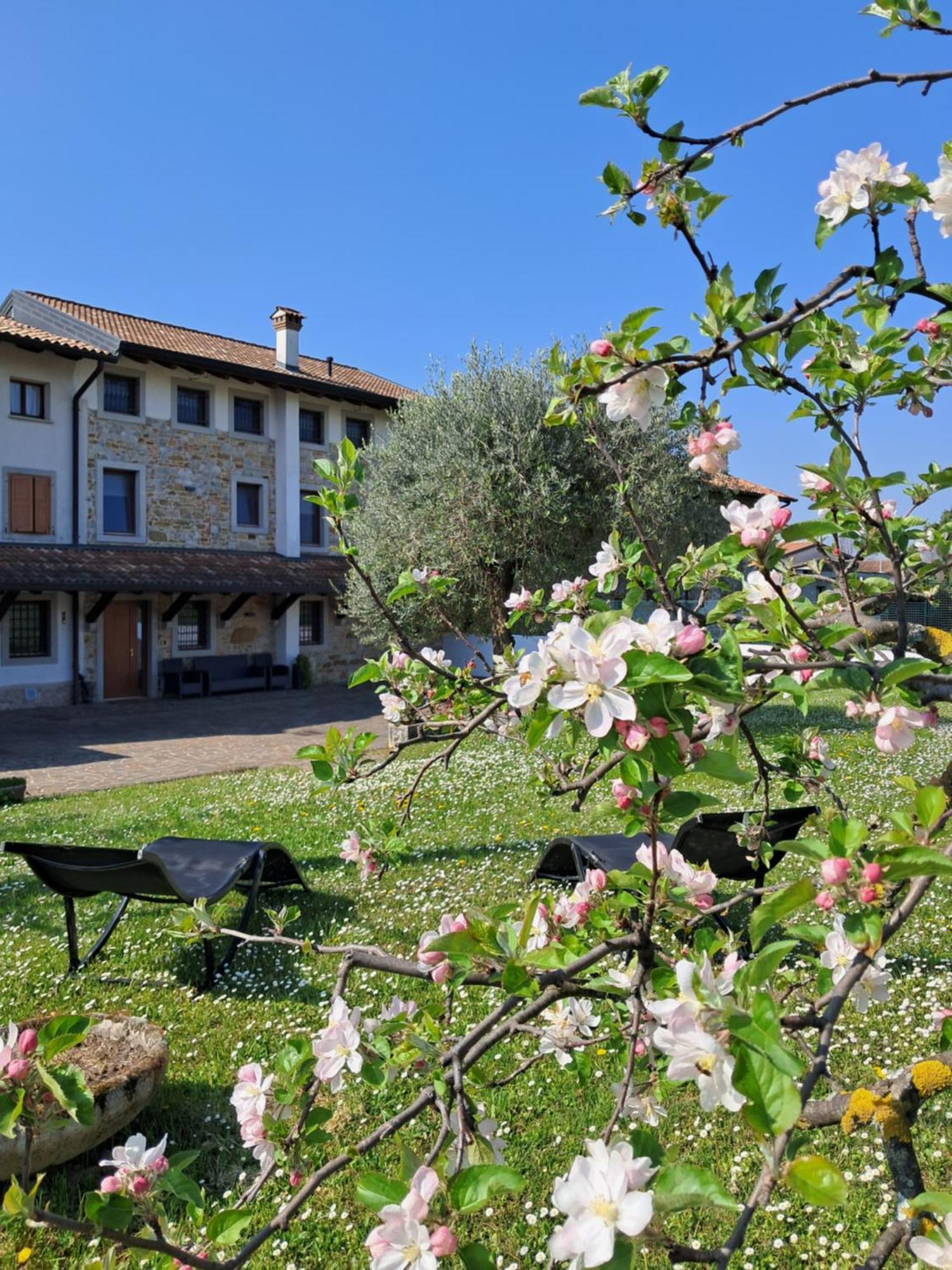 Cividale del Friuli B&B Ergira מראה חיצוני תמונה